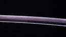 Katana Antica Giapponese di Takasaki Morishige (Hozon)