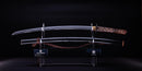 Wakizashi Antico Giapponese Bo-hi con 2cm Sori