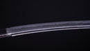 Wakizashi Antico Giapponese Bo-hi con 2cm Sori