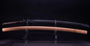 Katana Antica Giapponese di Jumyo (Hozon)