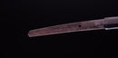 Katana Antica Giapponese firmata Chounsai Emura (Hozon)