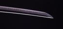 Katana Antica Giapponese firmata Chounsai Emura (Hozon)