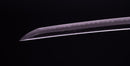 Katana Antica Giapponese firmata Chounsai Emura (Hozon)