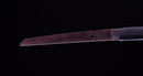 Katana Antica Giapponese di Jumyo (Hozon)