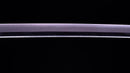 Katana Antica Giapponese di Jumyo (Hozon)