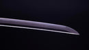 Katana Antica Giapponese di Jumyo (Hozon)
