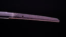 Katana Antica Giapponese di Jumyo (Hozon)