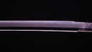 Katana Antica Giapponese di Jumyo (Hozon)