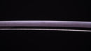 Katana Antica Giapponese di Jumyo (Hozon)