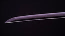 Katana Antica Giapponese di Jumyo (Hozon)