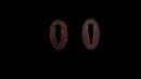 Katana Antica Giapponese di Jumyo (Hozon)