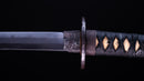 Katana Antica Giapponese di Jumyo (Hozon)