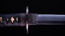 Katana Antica Giapponese di Jumyo (Hozon)