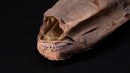 Katana Antica Giapponese firmata Chounsai Emura (Hozon)