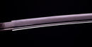 Katana Antica Giapponese con un Raro Koshirae Verde, Periodo Edo