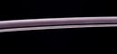 Katana Antica Giapponese con un Raro Koshirae Verde, Periodo Edo