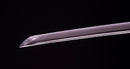 Katana Antica Giapponese con un Raro Koshirae Verde, Periodo Edo