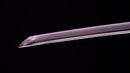 Katana Antica Giapponese con un Raro Koshirae Verde, Periodo Edo