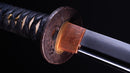 Katana Antica Giapponese con un Raro Koshirae Verde, Periodo Edo