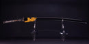Katana Antica Giapponese firmata Ichiryushi Nagamitsu (Hozon)