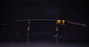 Katana Antica Giapponese firmata Ichiryushi Nagamitsu (Hozon)