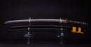 Katana Antica Giapponese firmata Ichiryushi Nagamitsu (Hozon)