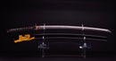 Katana Antica Giapponese firmata Ichiryushi Nagamitsu (Hozon)