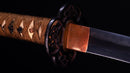 Katana Antica Giapponese firmata Seki Ju Ikeda Kanetsuna