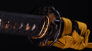 Katana Antica Giapponese firmata Ichiryushi Nagamitsu (Hozon)