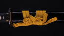 Katana Antica Giapponese firmata Ichiryushi Nagamitsu (Hozon)