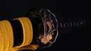 Katana Antica Giapponese firmata Ichiryushi Nagamitsu (Hozon)