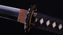 Katana Antica Giapponese firmata Ichiryushi Nagamitsu (Hozon)