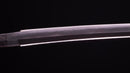 Katana Antica Giapponese firmata Ichiryushi Nagamitsu (Hozon)
