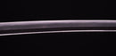 Katana Antica Giapponese firmata Ichiryushi Nagamitsu (Hozon)
