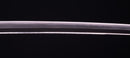 Katana Antica Giapponese firmata Ichiryushi Nagamitsu (Hozon)