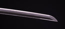 Katana Antica Giapponese firmata Ichiryushi Nagamitsu (Hozon)