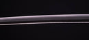 Katana Antica Giapponese firmata Ichiryushi Nagamitsu (Hozon)