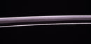 Katana Antica Giapponese firmata Seki Ju Ikeda Kanetsuna
