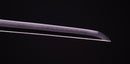 Katana Antica Giapponese firmata Seki Ju Ikeda Kanetsuna