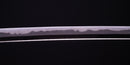 Katana Antica Giapponese di Sue Bizen (Hozon)