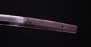 Katana Antica Giapponese di Sue Bizen (Hozon)