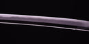 Katana Antica Giapponese di Sue Bizen (Hozon)
