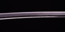Katana Antica Giapponese di Uda Hirakuni (Hozon)