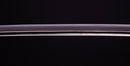 Katana Antica Giapponese di Uda Hirakuni (Hozon)