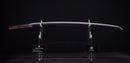 Katana Antica Giapponese della Scuola Uda (Hozon)
