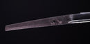 Katana Antica Giapponese Firmata Kanesada