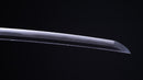 Katana Antica Giapponese firmata Kii no Kuni Harumitsu