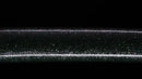 Katana Antica Giapponese firmata Seki-ju Kaneyoshi con Splendida Saya Verde