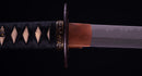 Katana Antica Giapponese con Tsuba in Ferro e Montature Laccate Nere