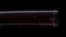 Katana Antica Giapponese con Tsuba Sukashi a Motivo Foglia